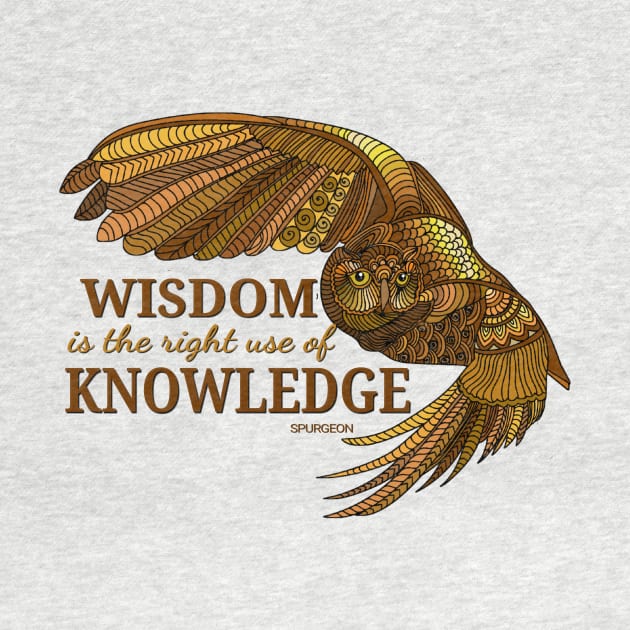 Wisdom Owl by AlondraHanley